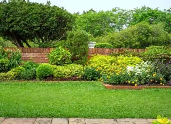 landscaping services Ridgeland